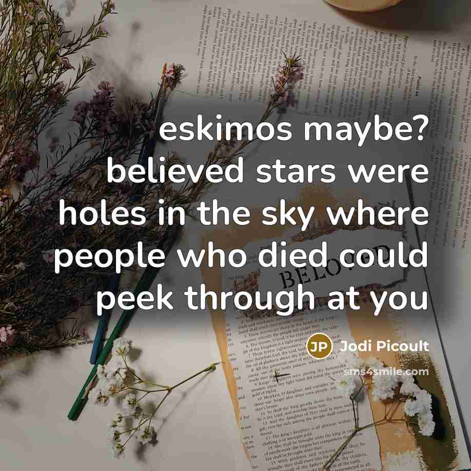 “eskimos maybe? believed stars were holes in the sky where…” quote by Jodi Picoult