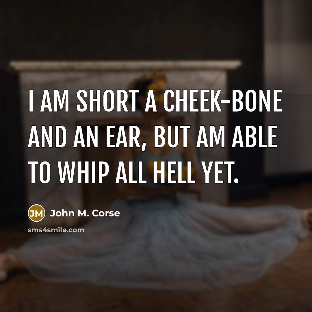 “I am short a cheek-bone and an ear, but am able to whip all hell yet.” quote by John M. Corse