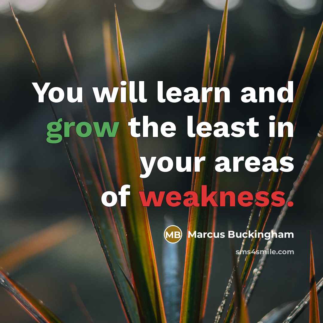 “You will learn and grow the least in your areas…” quote by Marcus Buckingham