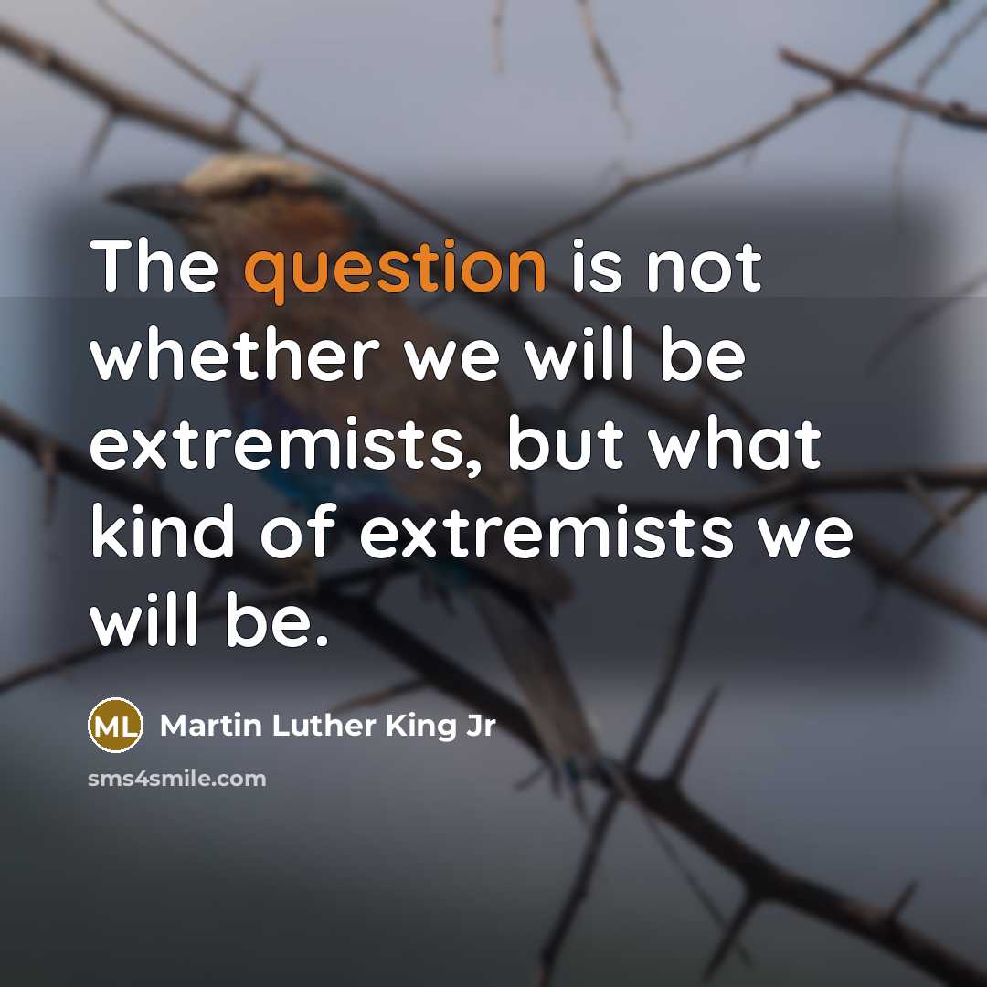 “The question is not whether we will be extremists, but what kind of extremists we will be.” quote by Martin Luther King Jr