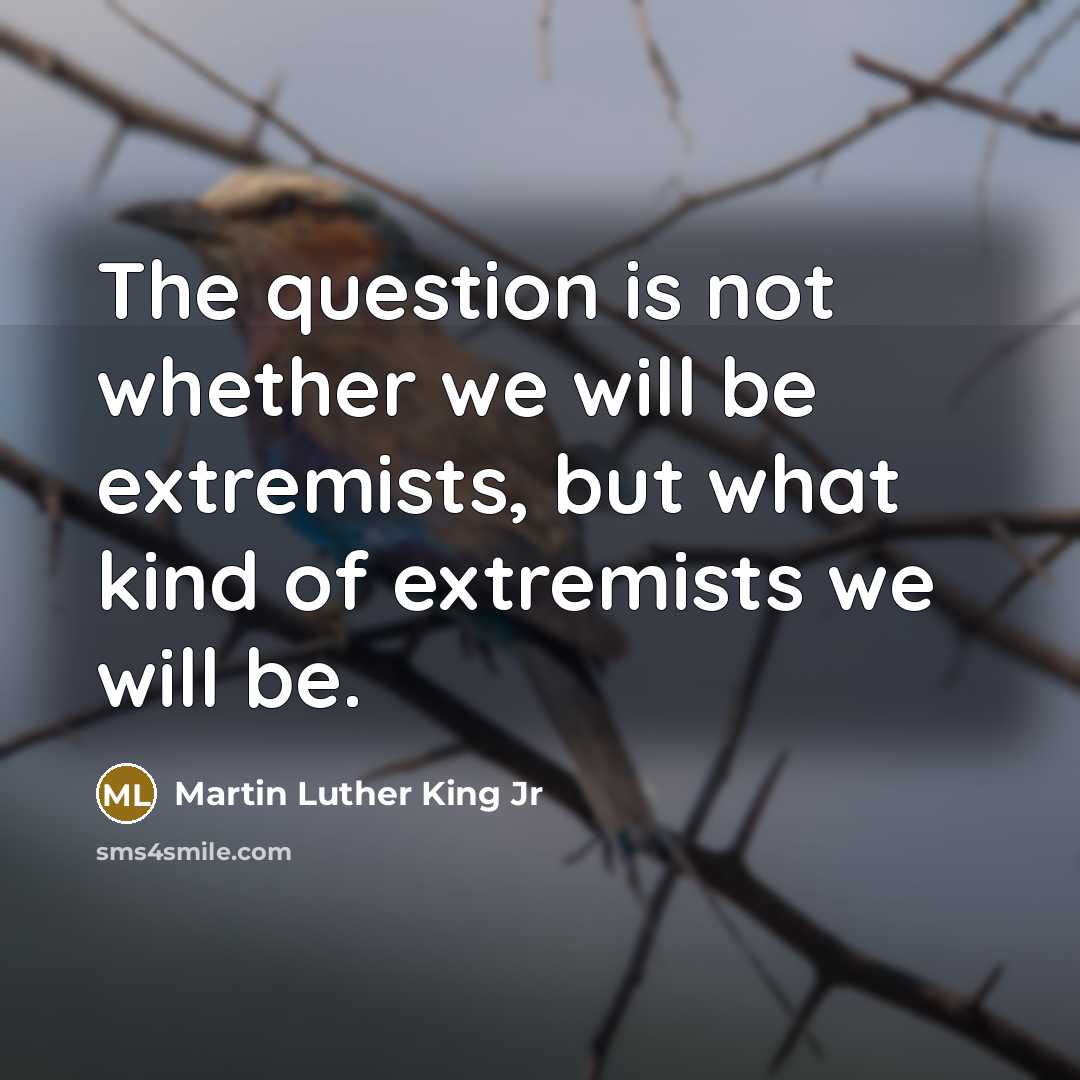 “The question is not whether we will be extremists, but…” quote by Martin Luther King Jr