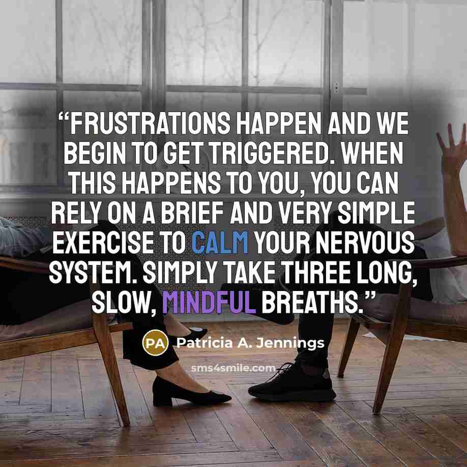 “Frustrations happen and we begin to get triggered. When this happens to you, you can rely on a brief and very simple exercise to calm your nervous system. Simply take three long, slow, mindful breaths.” quote by Patricia A. Jennings