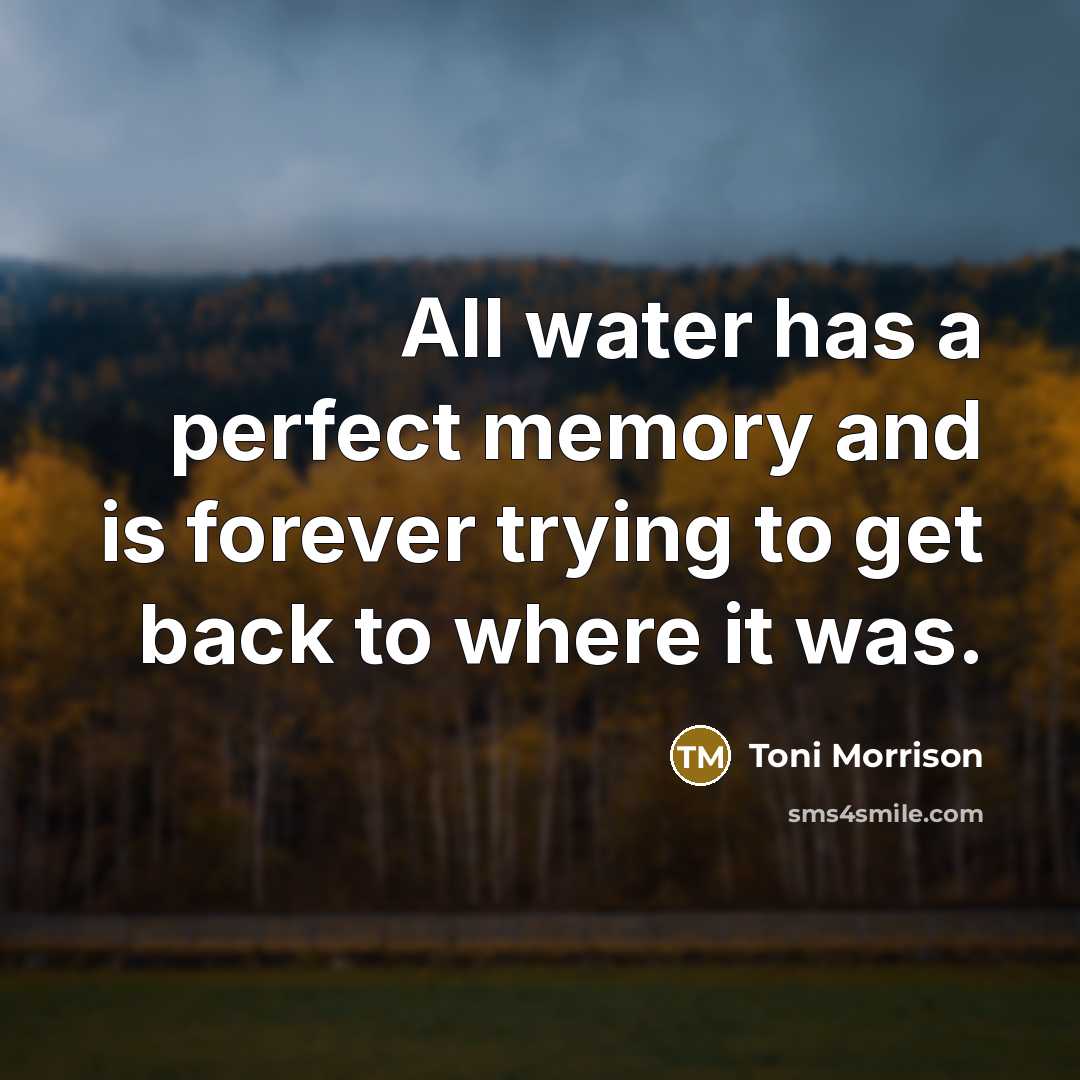 “All water has a perfect memory and is forever trying…” quote by Toni Morrison