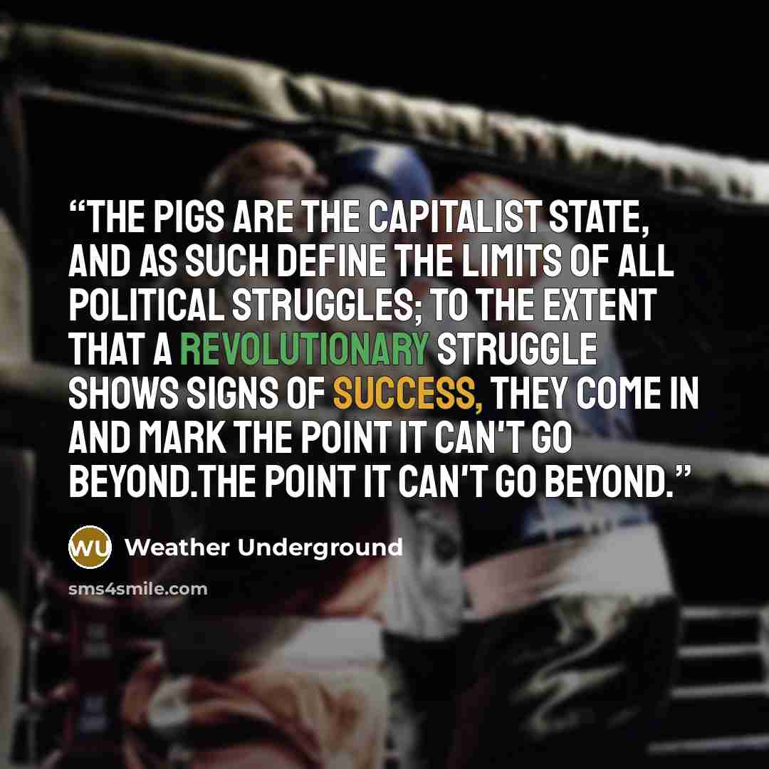 “The pigs are the capitalist state, and as such define the limits of all political struggles; to the extent that a revolutionary struggle shows signs of success, they come in and mark the point it can't go beyond.the point it can't go beyond.” quote by Weather Underground