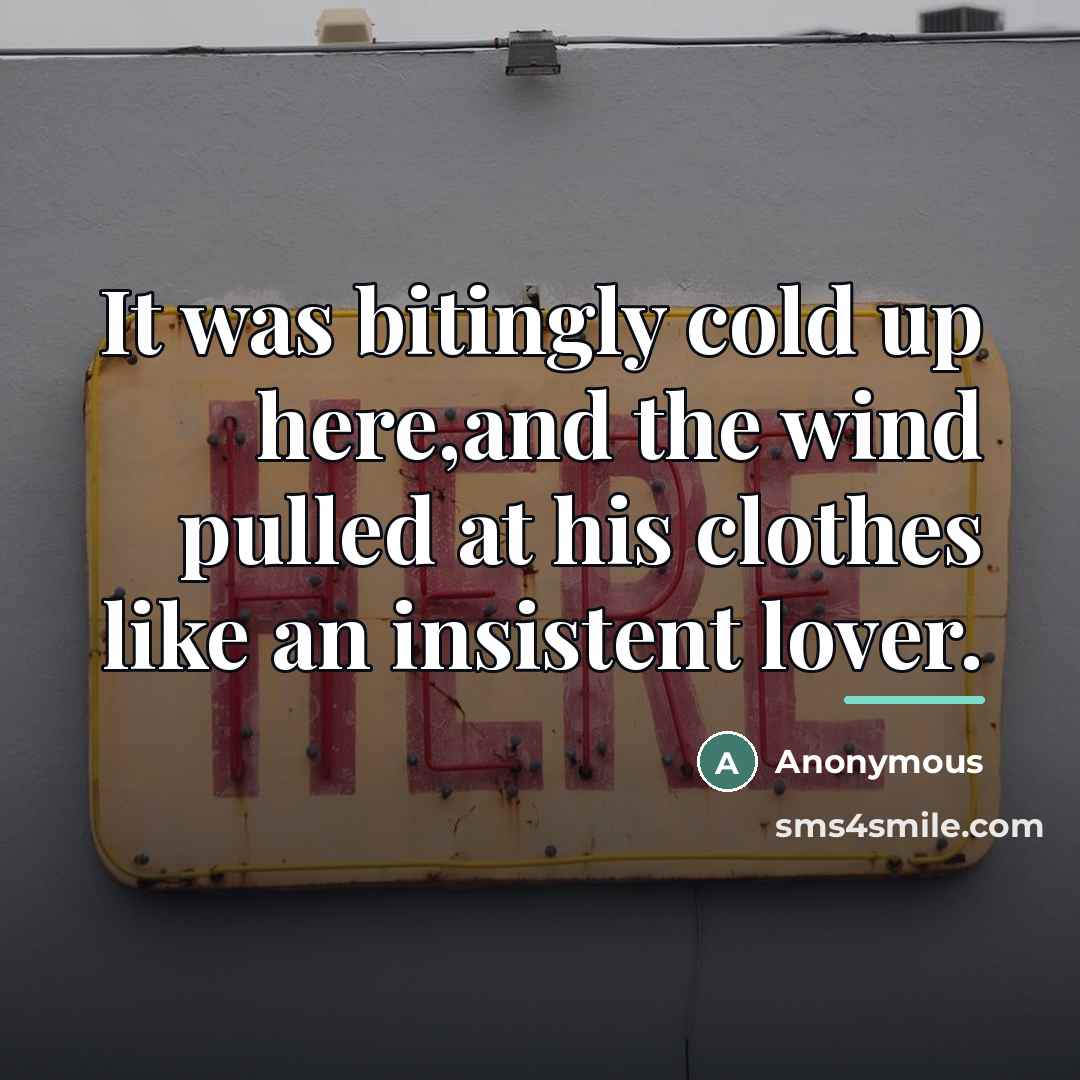 “It was bitingly cold up here,and the wind pulled at…” quote by Anonymous