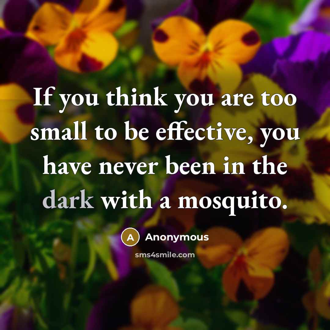 “If you think you are too small to be effective,…” quote by Anonymous