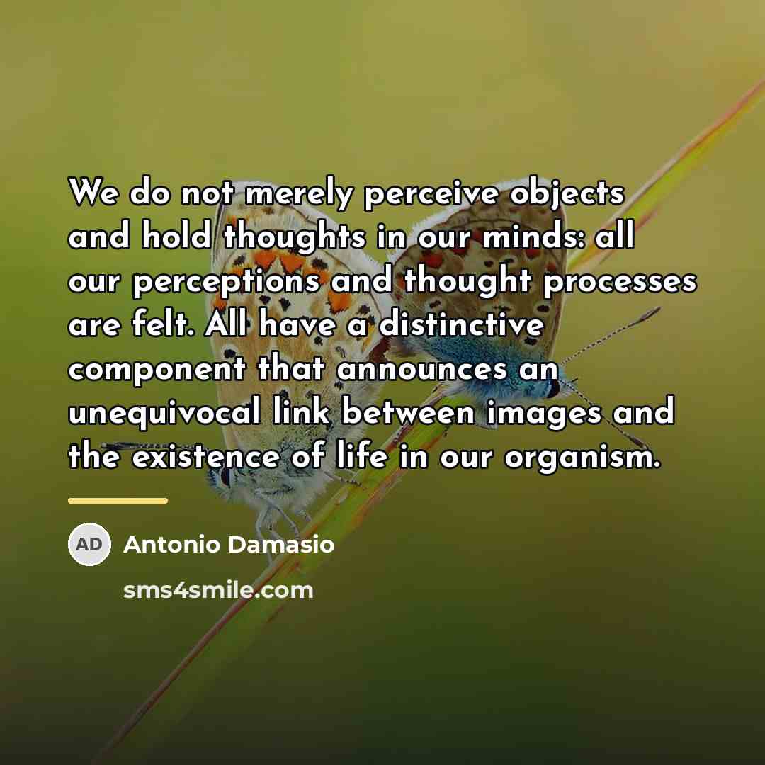 “We do not merely perceive objects and hold thoughts in…” quote by Antonio Damasio