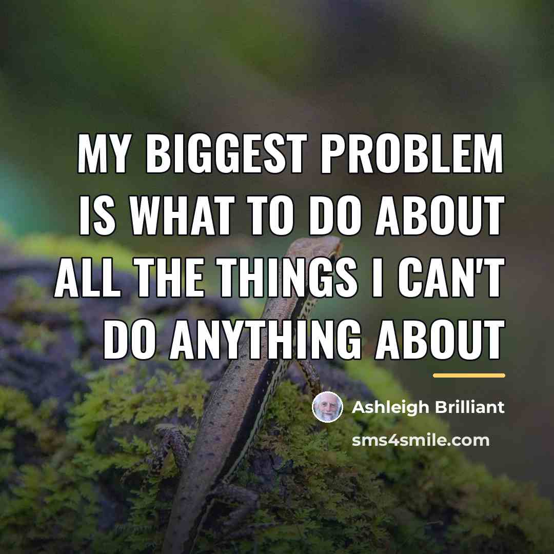 “My biggest problem is what to do about all the…” quote by Ashleigh Brilliant