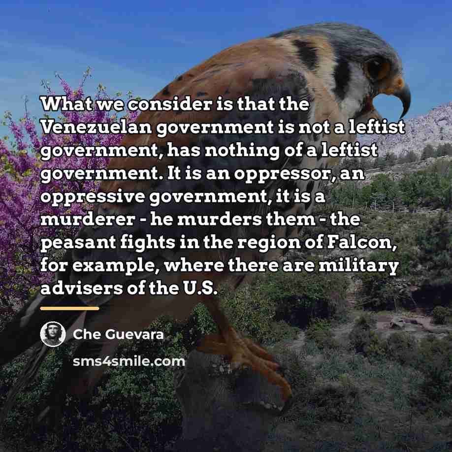“What we consider is that the Venezuelan government is not…” quote by Che Guevara