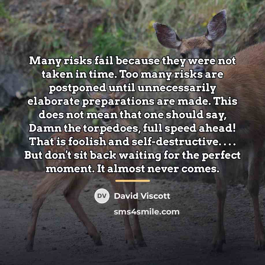 “Many risks fail because they were not taken in time.…” quote by David Viscott