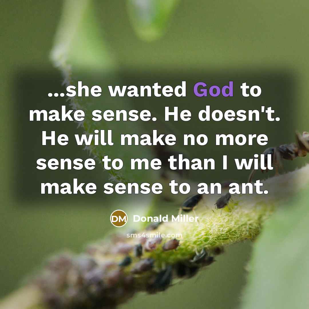 “...she wanted God to make sense. He doesn't. He will…” quote by Donald Miller