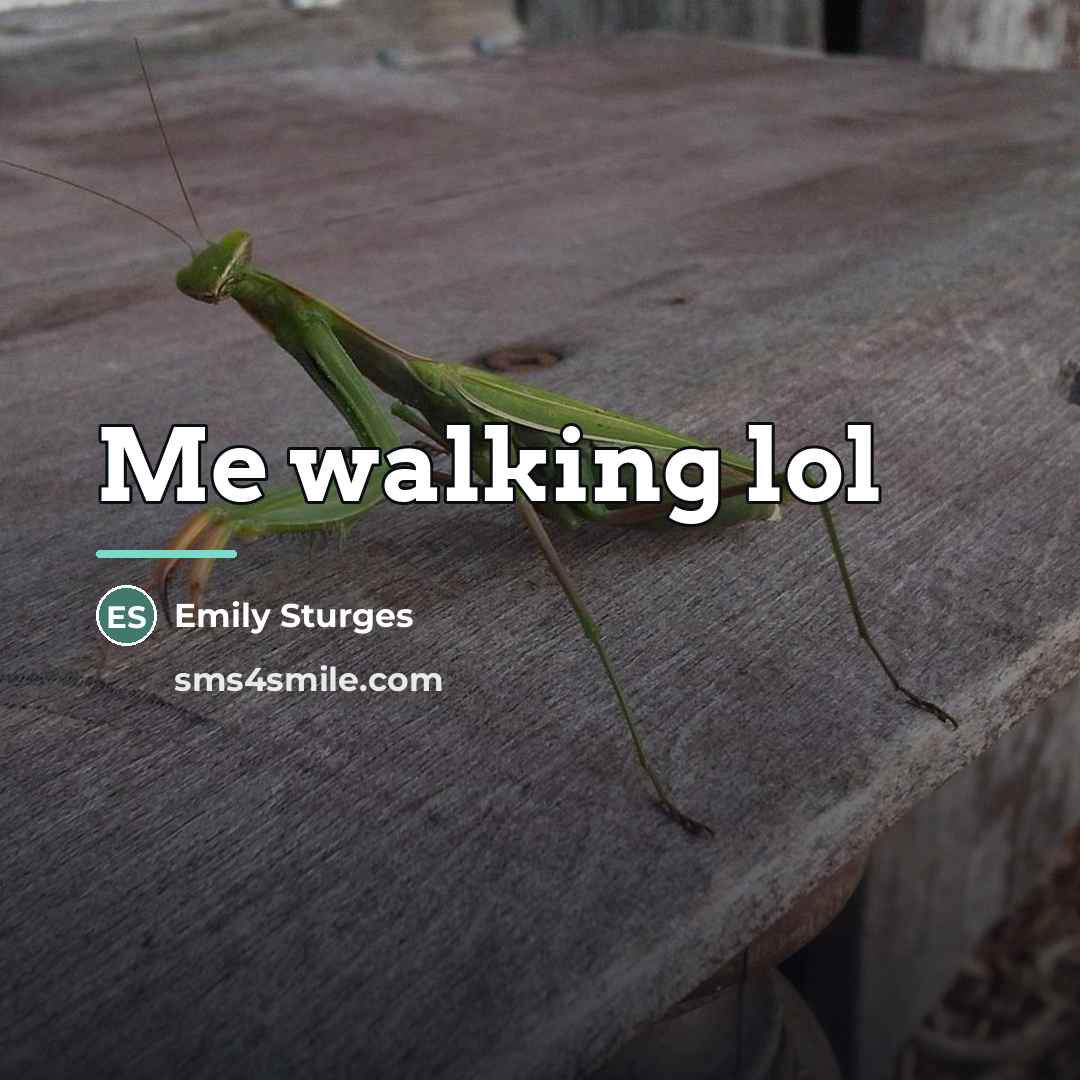 “Me walking lol…” quote by Emily Sturges