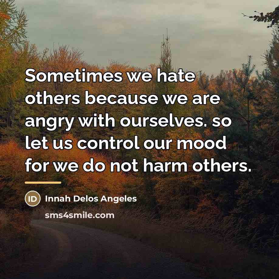 “Sometimes we hate others because we are angry with ourselves.…” quote by Innah Delos Angeles