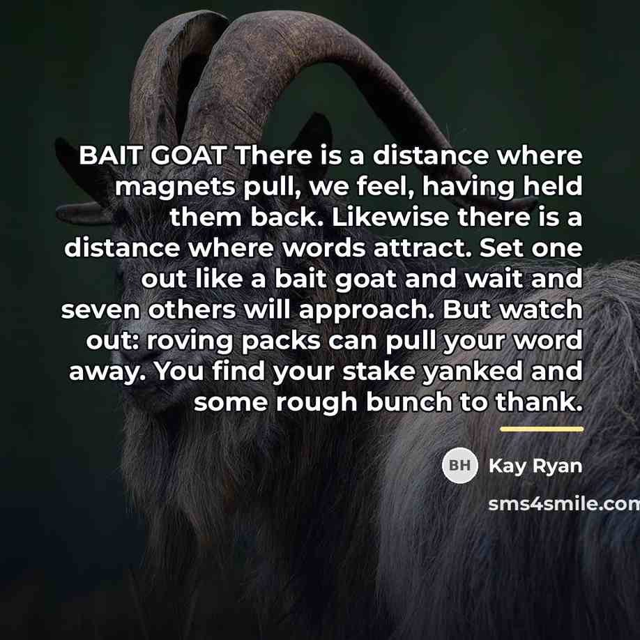 “BAIT GOAT There is a distance where magnets pull, we…” quote by Kay Ryan