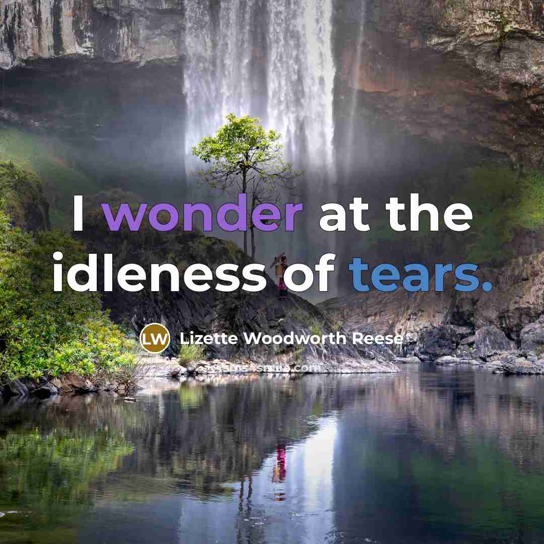 “I wonder at the idleness of tears.…” quote by Lizette Woodworth Reese