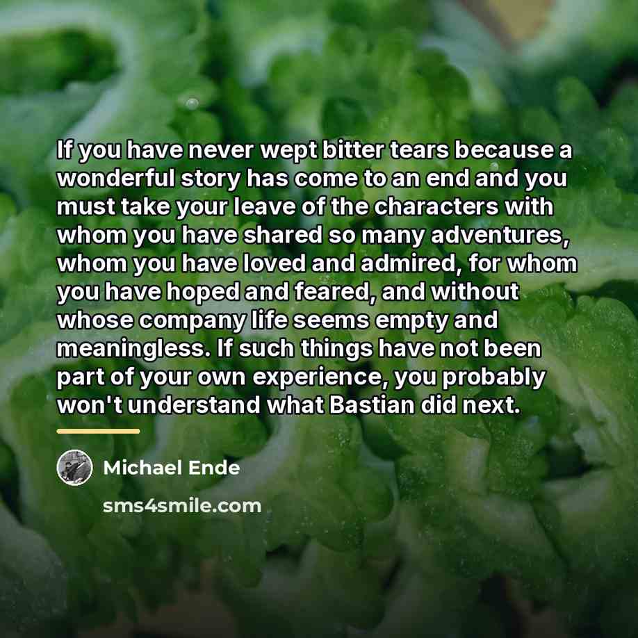 “If you have never wept bitter tears because a wonderful…” quote by Michael Ende