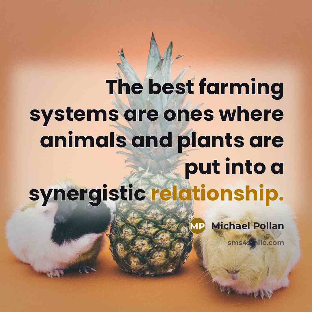 “The best farming systems are ones where animals and plants are put into a synergistic relationship.” quote by Michael Pollan