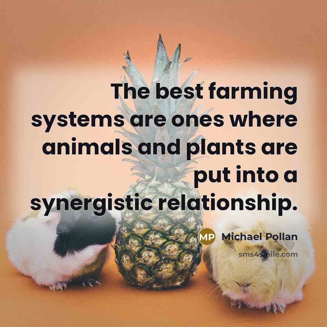 “The best farming systems are ones where animals and plants…” quote by Michael Pollan