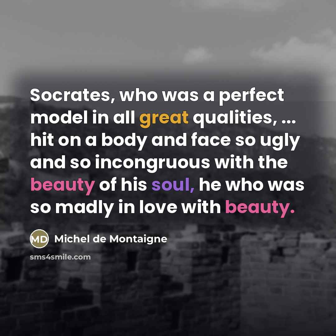 “Socrates, who was a perfect model in all great qualities,…” quote by Michel de Montaigne