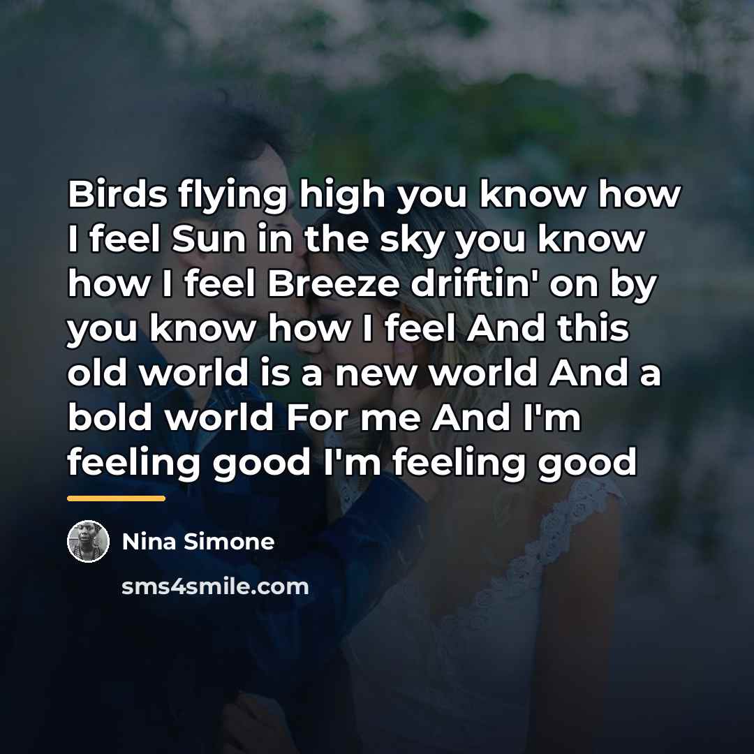 “Birds flying high you know how I feel Sun in…” quote by Nina Simone