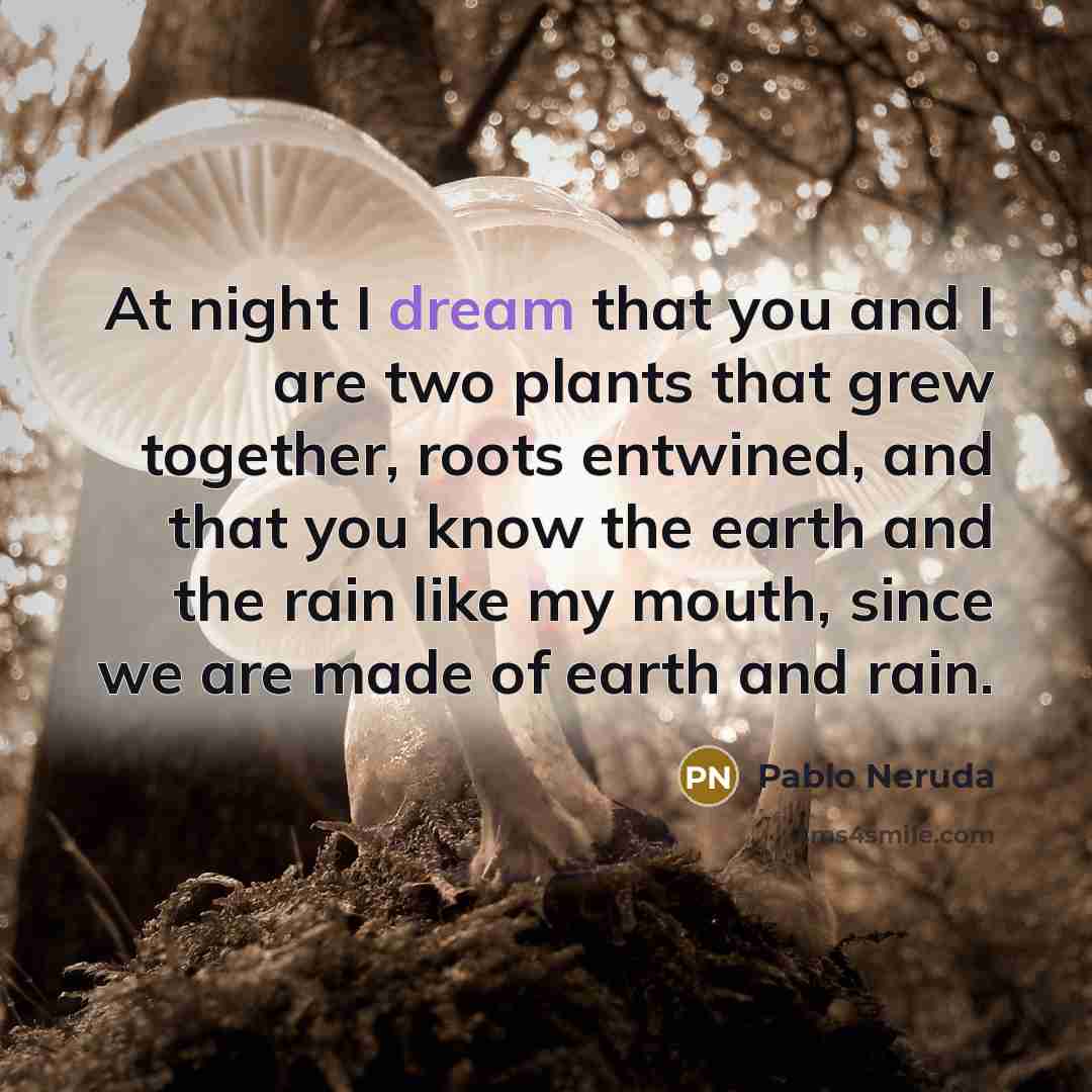 “At night I dream that you and I are two…” quote by Pablo Neruda