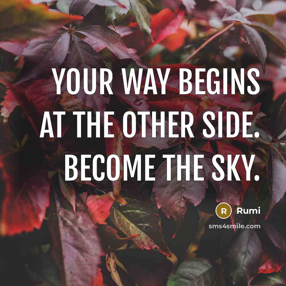 “Your way begins at the other side. Become the sky.” quote by Rumi