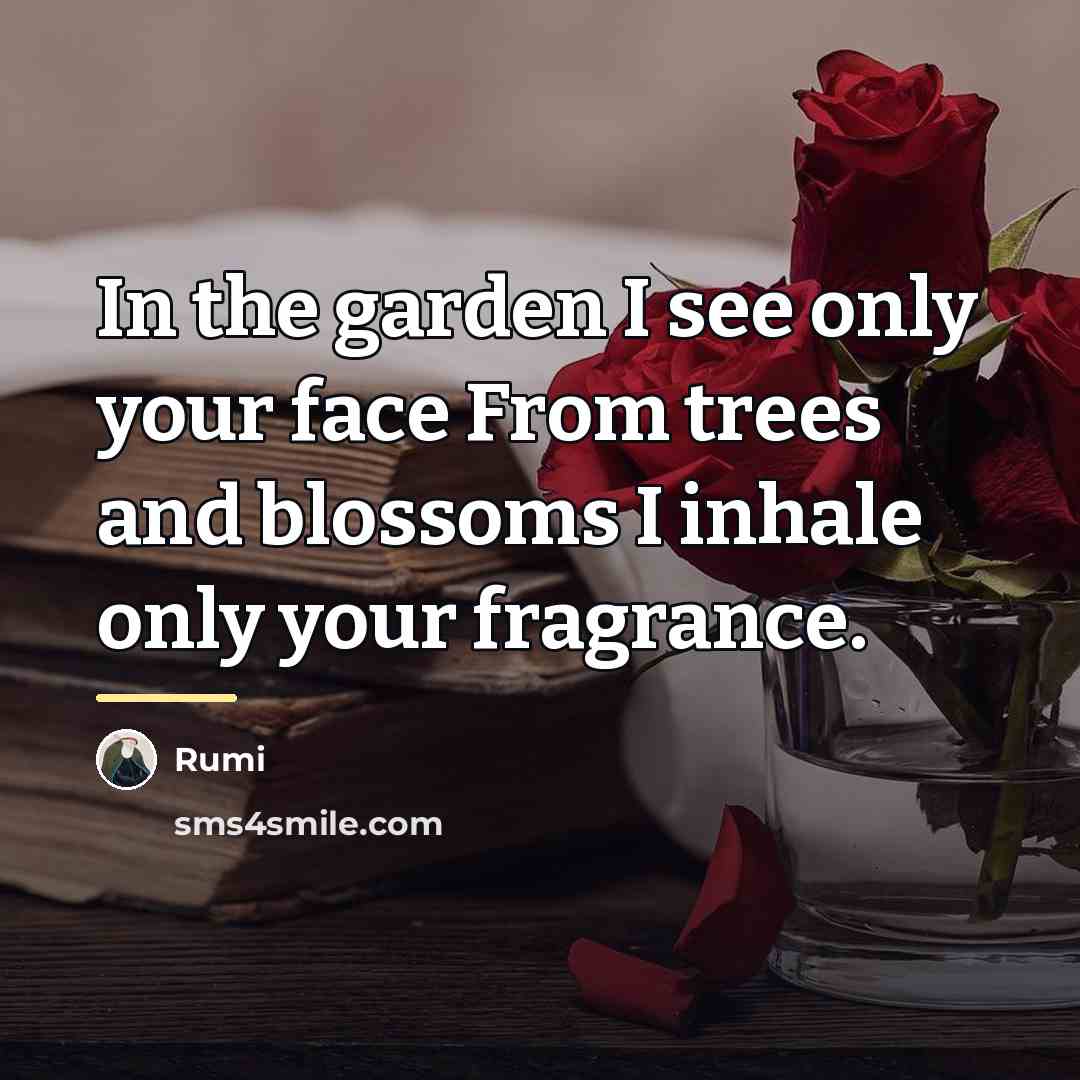 “In the garden I see only your face From trees…” quote by Rumi
