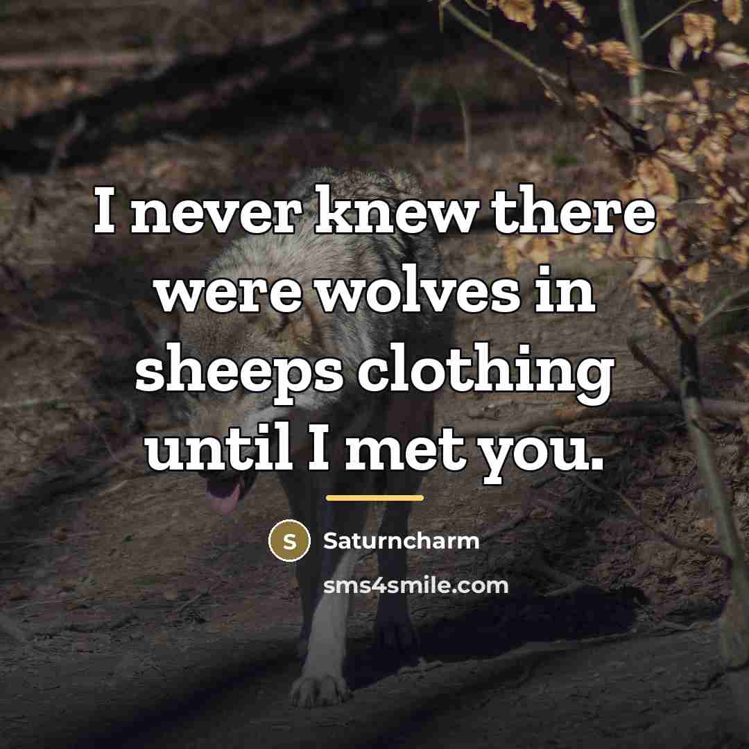 “I never knew there were wolves in sheeps clothing until…” quote by Saturncharm