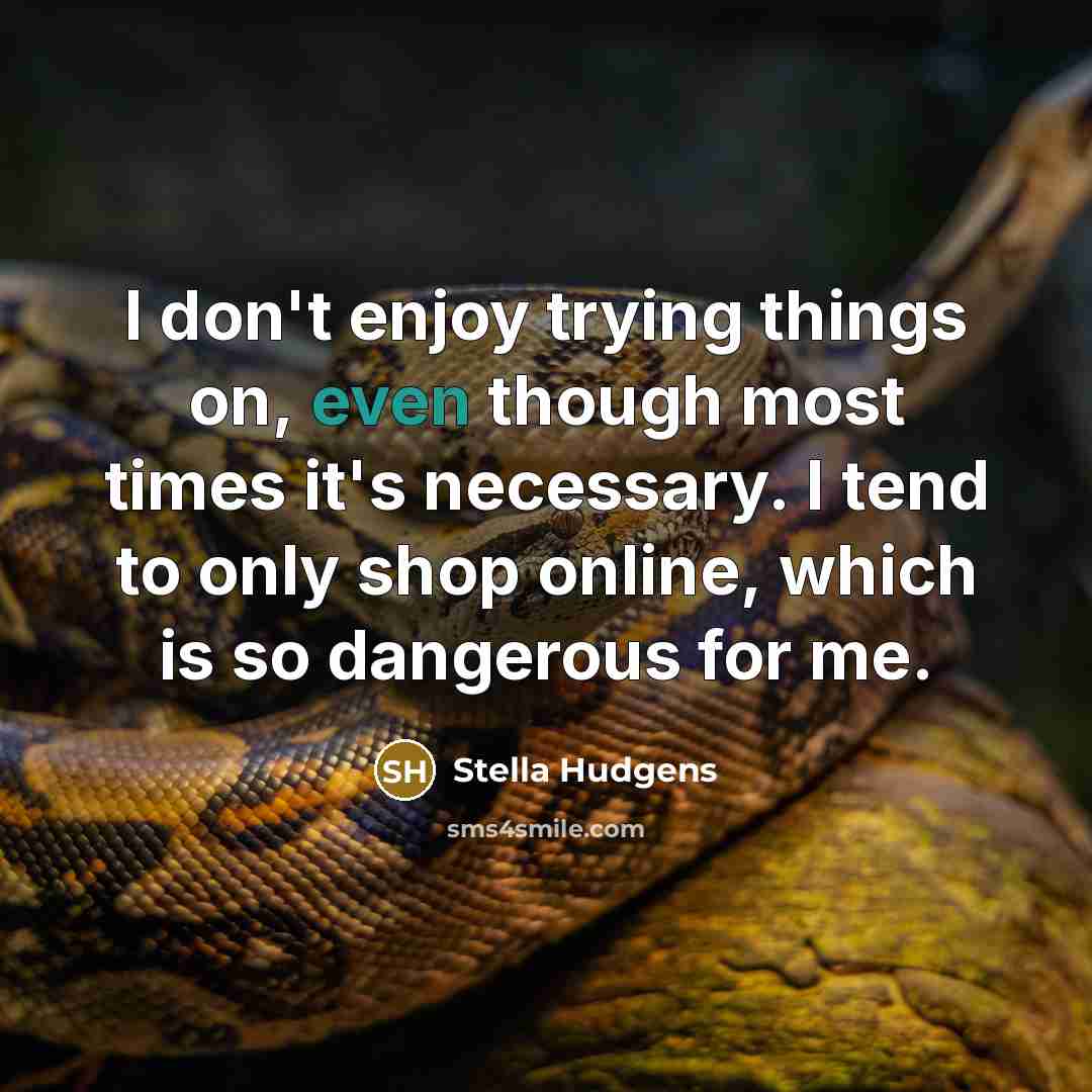 “I don't enjoy trying things on, even though most times…” quote by Stella Hudgens