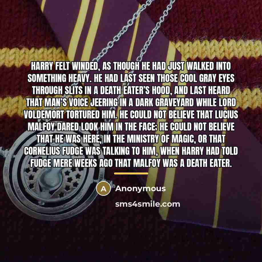 “Harry felt winded, as though he had just walked into…” quote by Anonymous