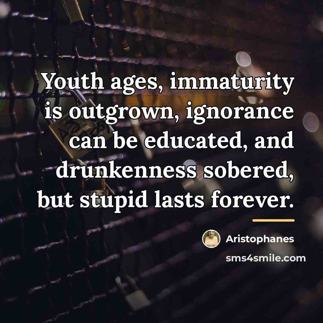 “Youth ages, immaturity is outgrown, ignorance can be educated, and…” quote by Aristophanes