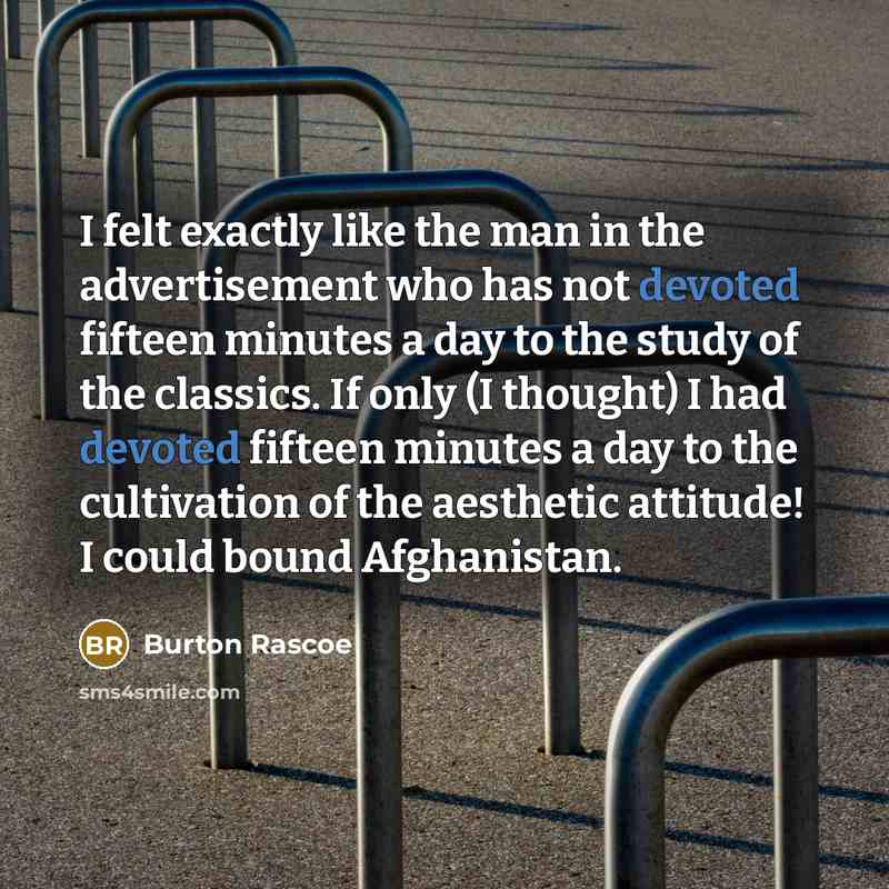 “I felt exactly like the man in the advertisement who…” quote by Burton Rascoe