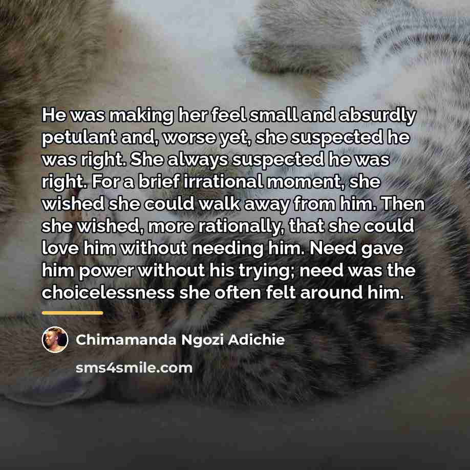 “He was making her feel small and absurdly petulant and,…” quote by Chimamanda Ngozi Adichie