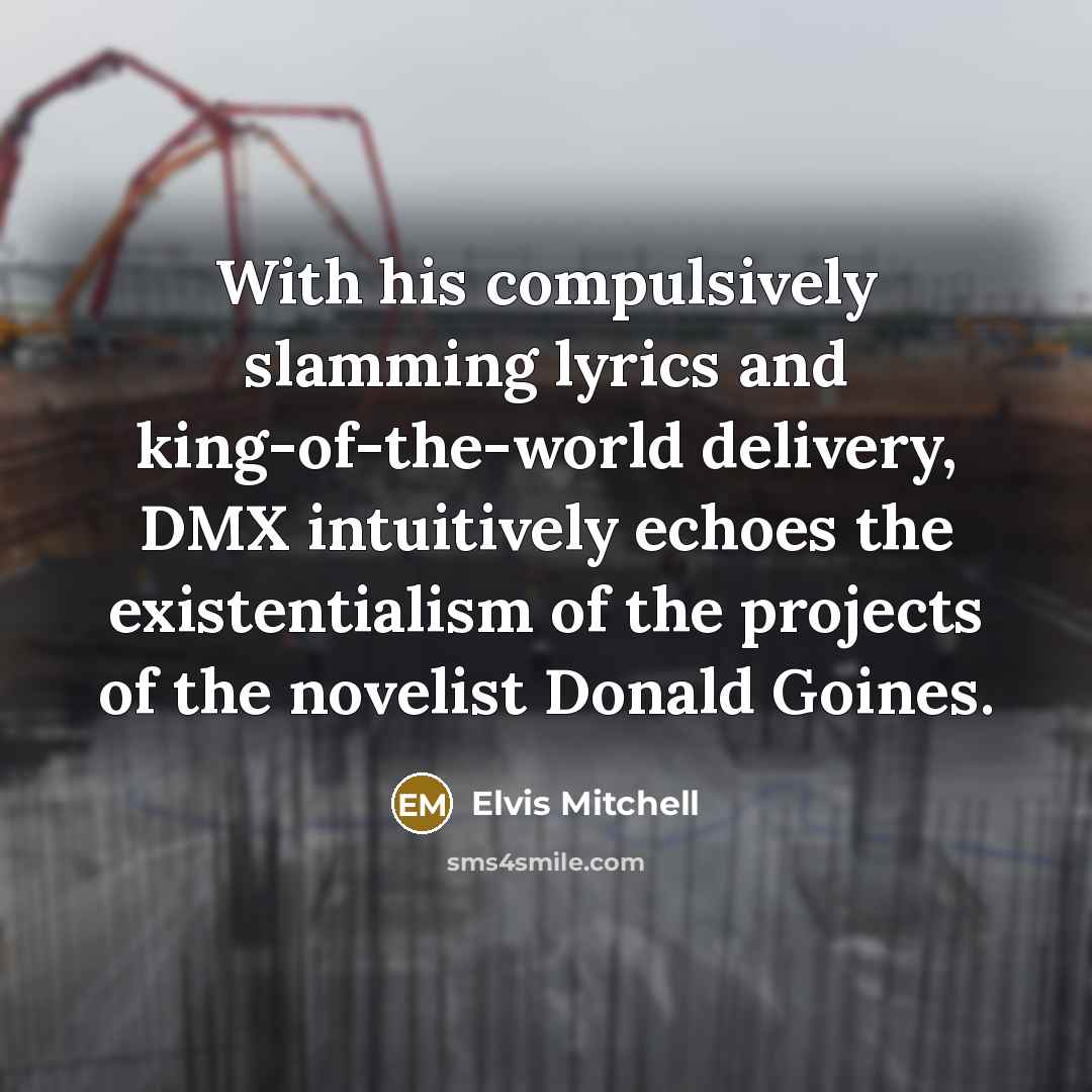 “With his compulsively slamming lyrics and king-of-the-world delivery, DMX intuitively…” quote by Elvis Mitchell