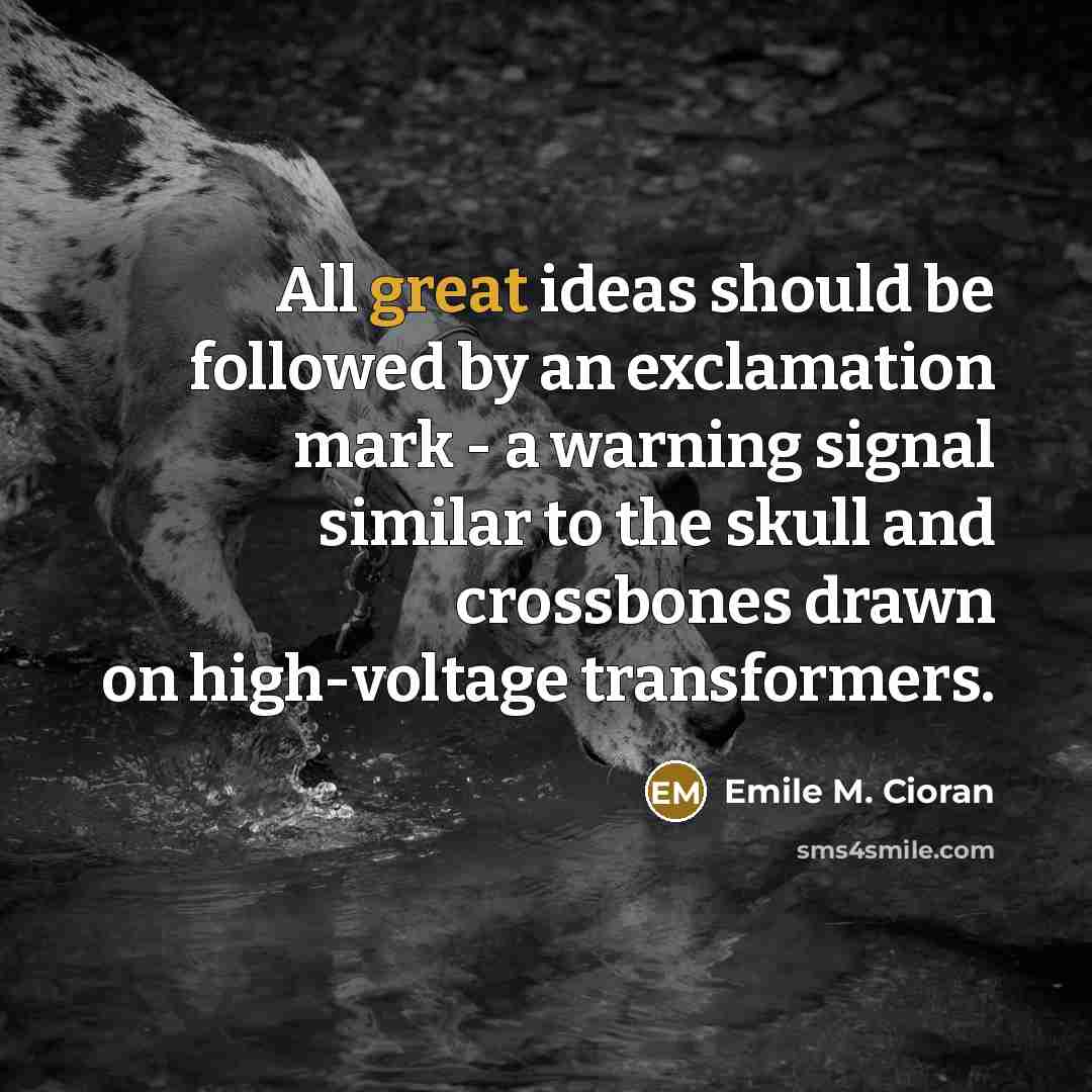 “All great ideas should be followed by an exclamation mark…” quote by Emile M. Cioran
