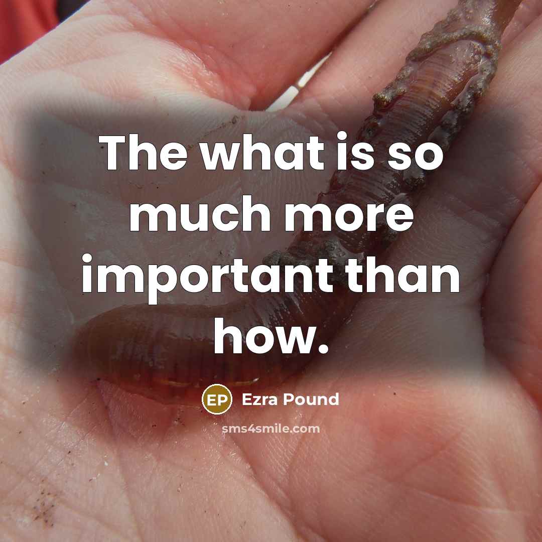 “The what is so much more important than how.…” quote by Ezra Pound