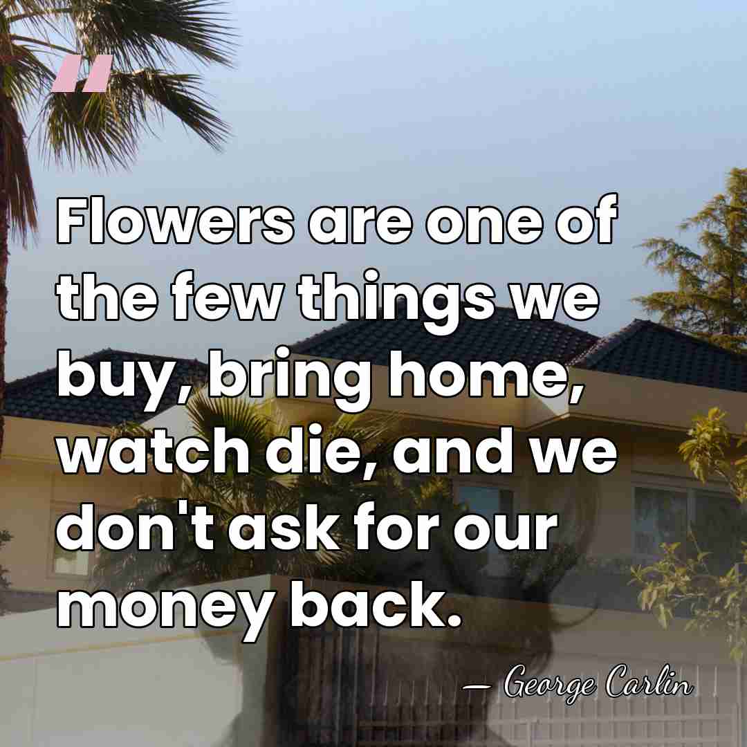 Flowers are one of the few things we buy, bring home, watch&hellip; - George Carlin