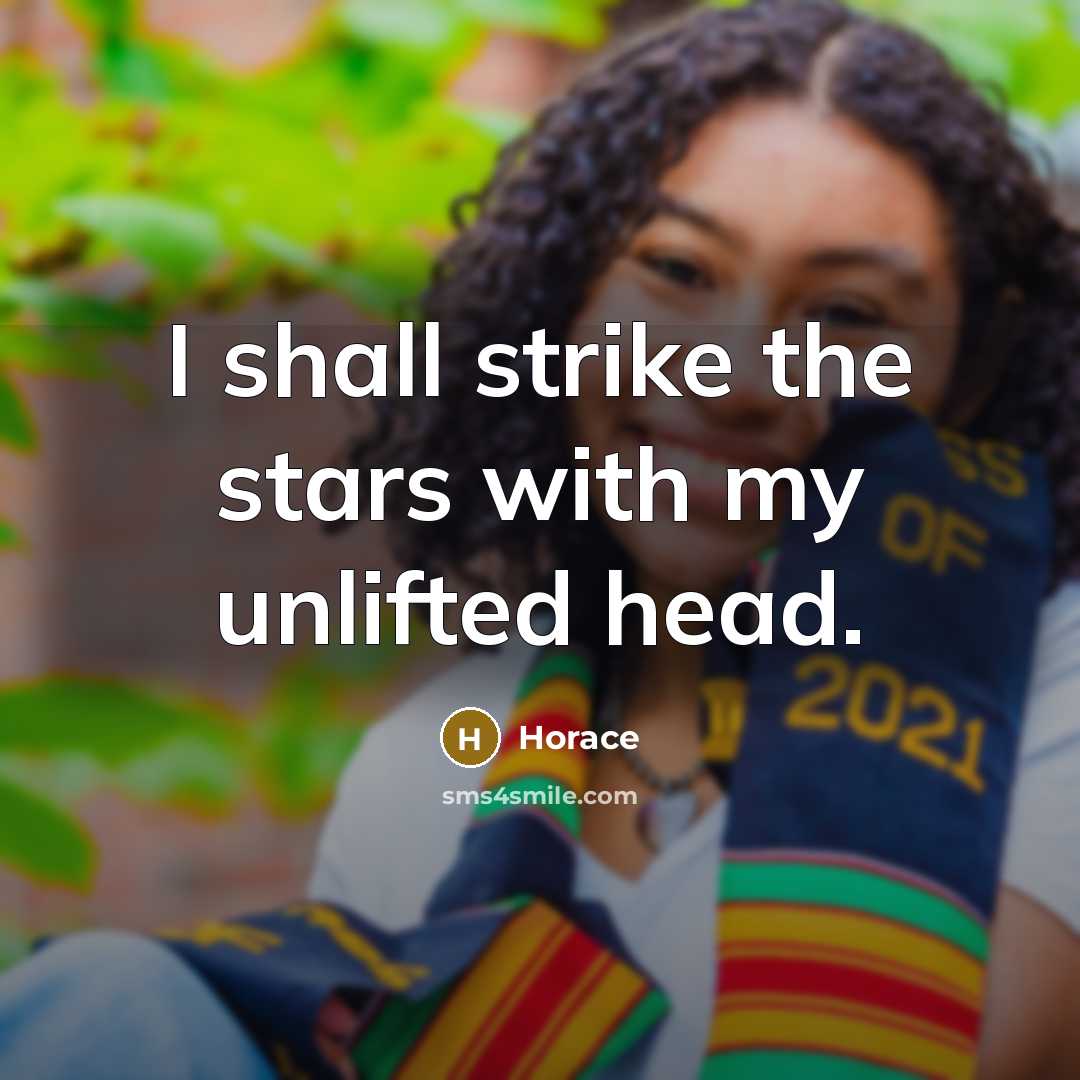 “I shall strike the stars with my unlifted head.…” quote by Horace
