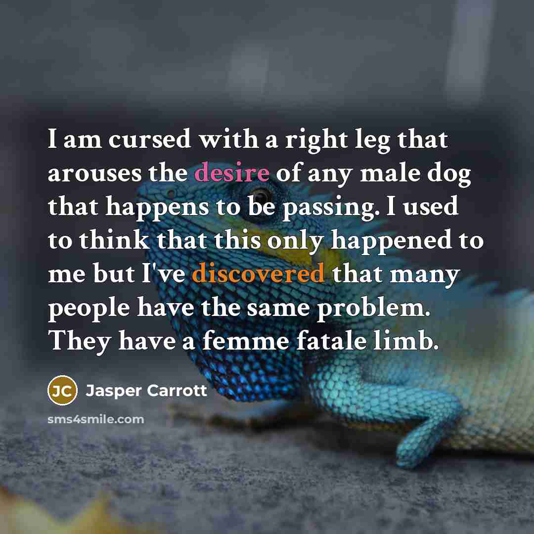 “I am cursed with a right leg that arouses the desire of any male dog that happens to be passing. I used to think that this only happened to me but I've discovered that many people have the same problem. They have a femme fatale limb.” quote by Jasper Carrott