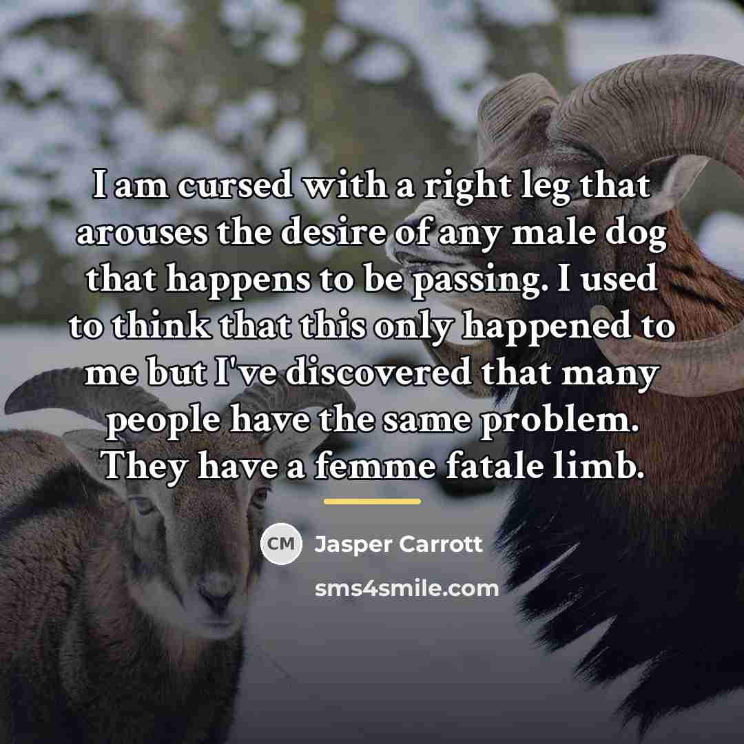 “I am cursed with a right leg that arouses the…” quote by Jasper Carrott