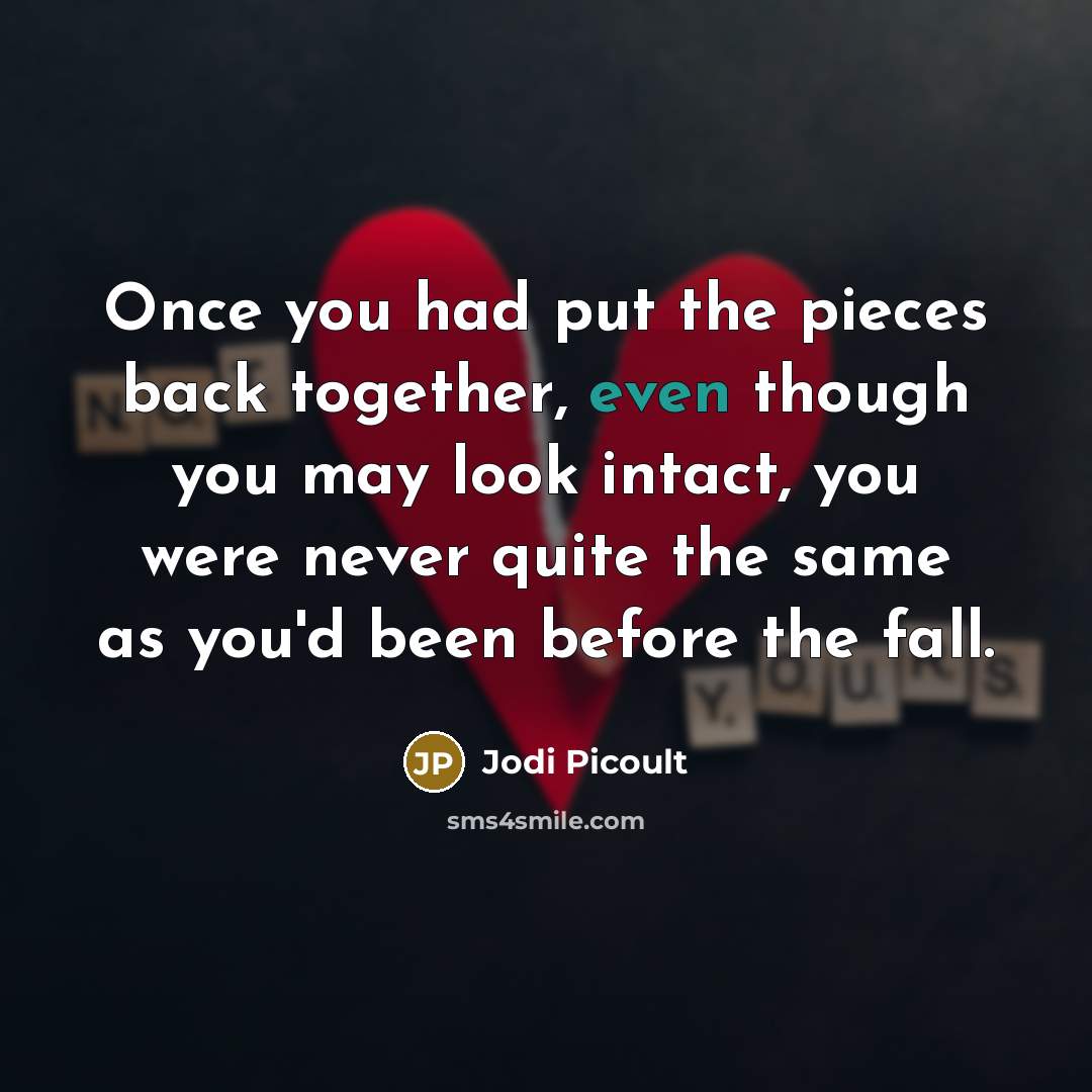 “Once you had put the pieces back together, even though…” quote by Jodi Picoult
