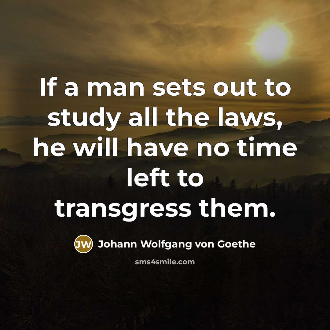 “If a man sets out to study all the laws,…” quote by Johann Wolfgang von Goethe