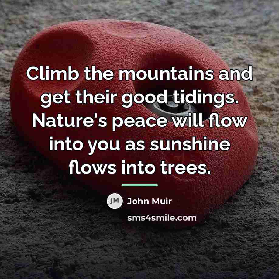 “Climb the mountains and get their good tidings. Nature's peace…” quote by John Muir