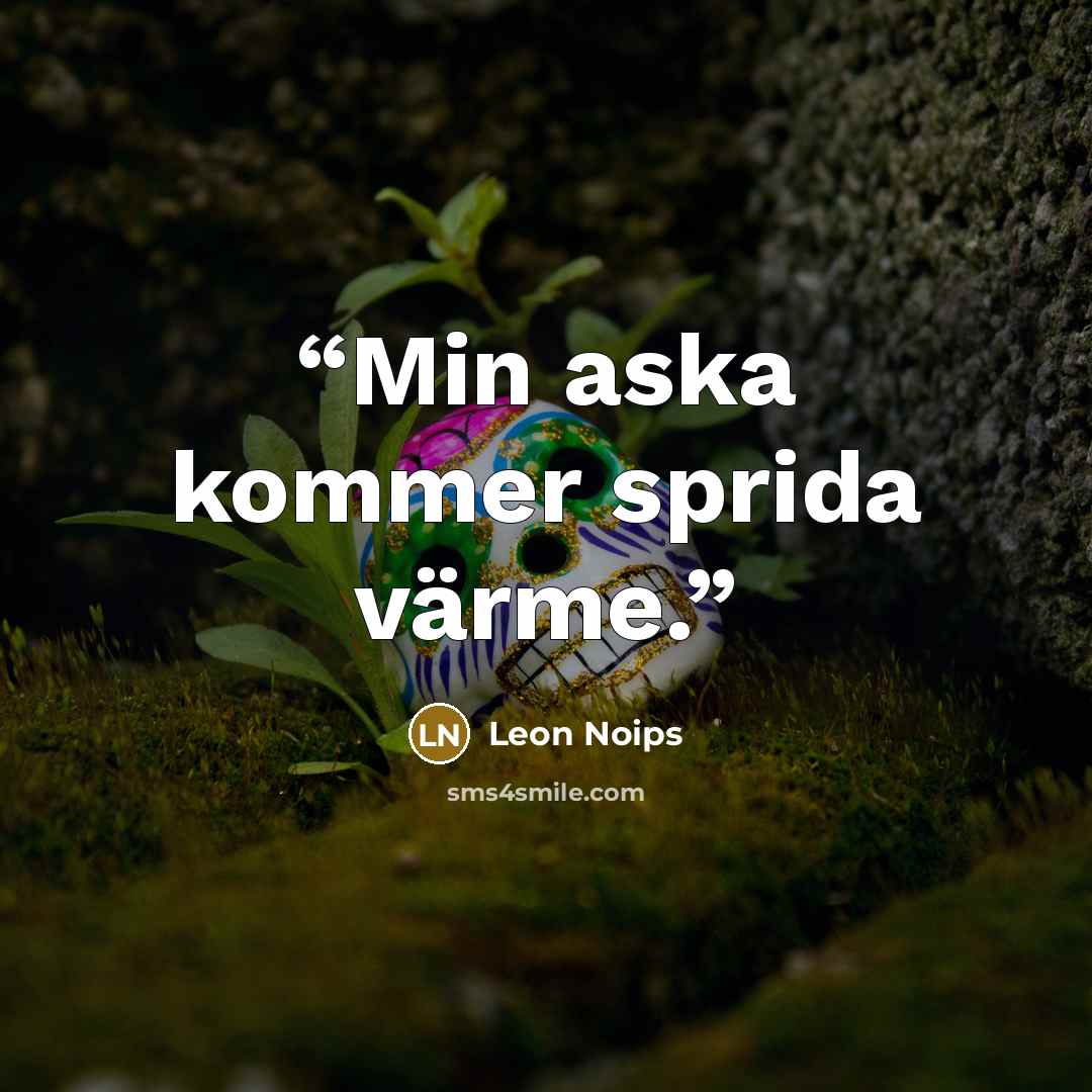 “Min aska kommer sprida värme.” quote by Leon Noips