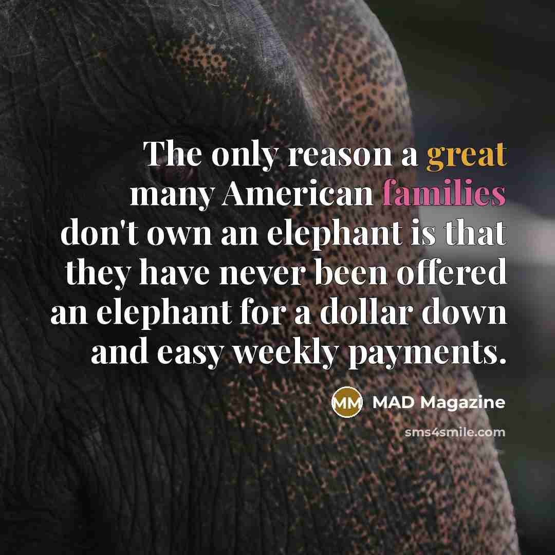 “The only reason a great many American families don't own an elephant is that they have never been offered an elephant for a dollar down and easy weekly payments.” quote by Mad Magazine
