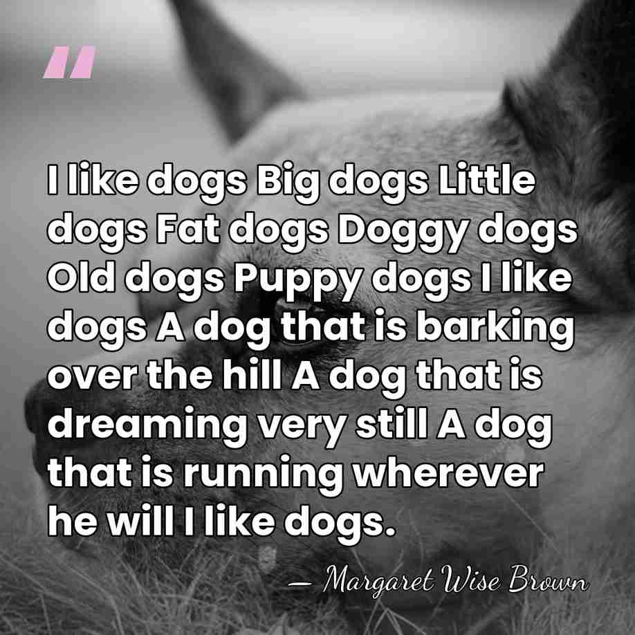 I like dogs Big dogs Little dogs Fat dogs Doggy dogs Old&hellip; - Margaret Wise Brown