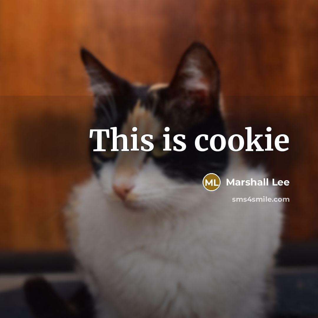 “This is cookie” quote by Marshall Lee