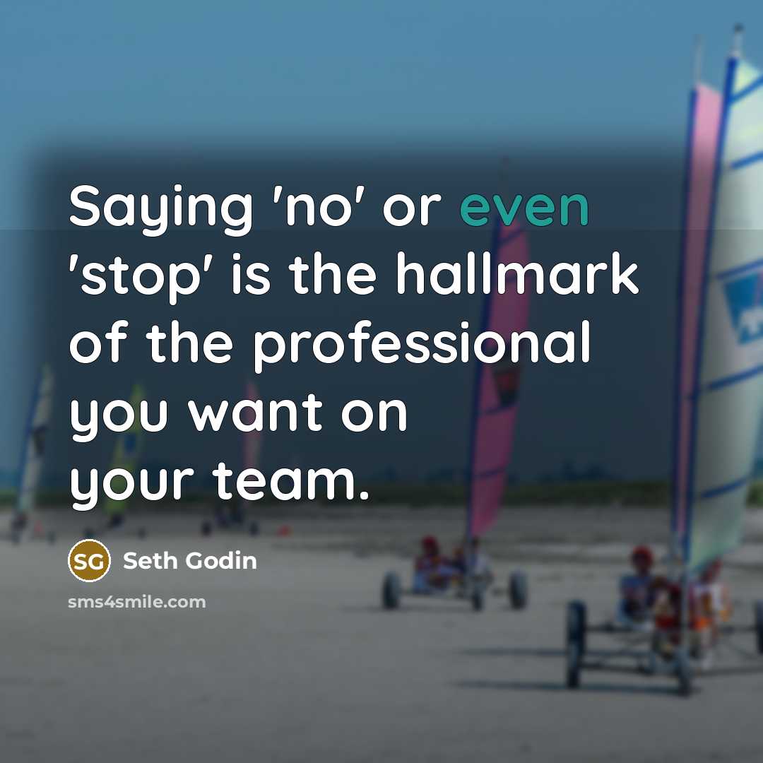 “Saying 'no' or even 'stop' is the hallmark of the professional you want on your team.” quote by Seth Godin