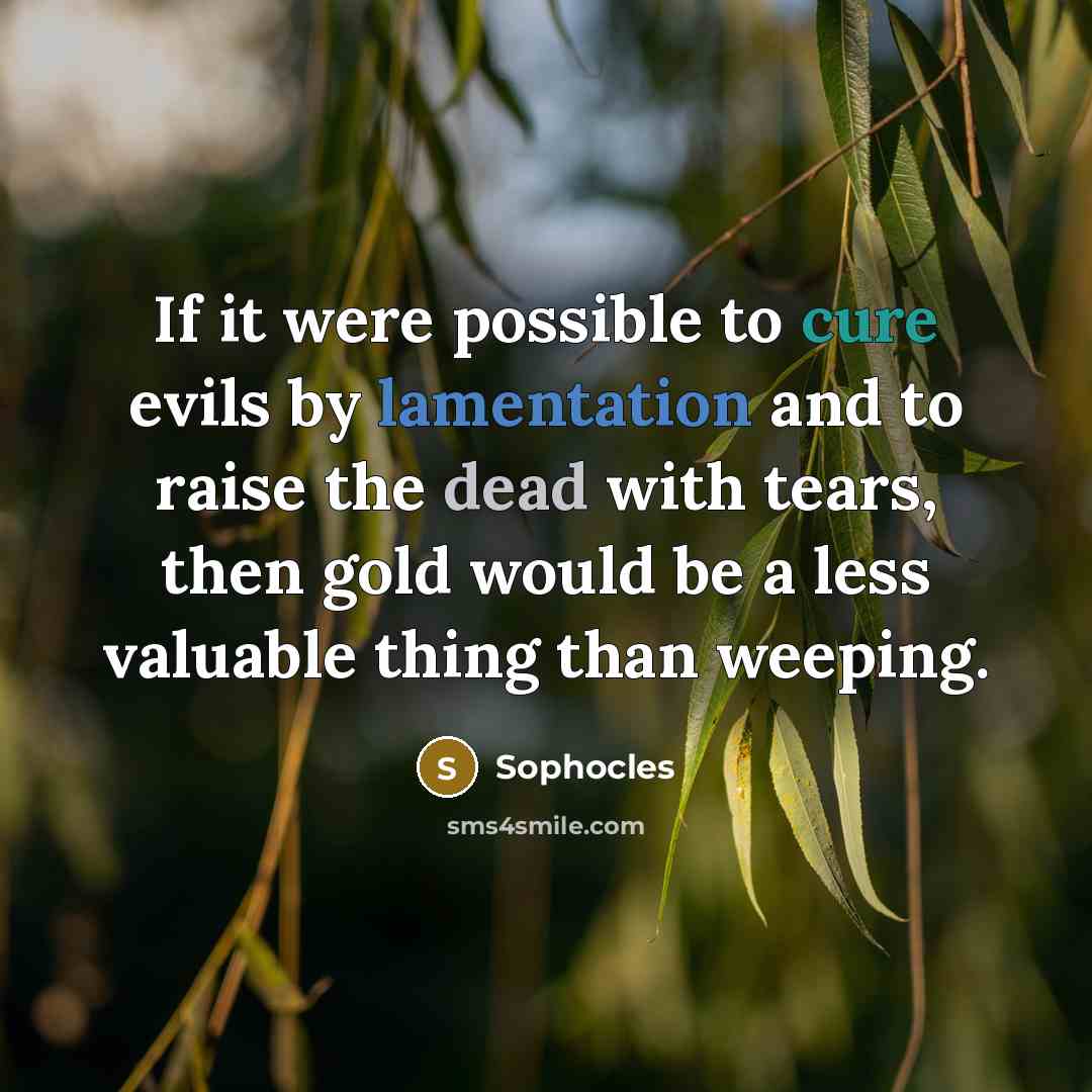 “If it were possible to cure evils by lamentation and…” quote by Sophocles
