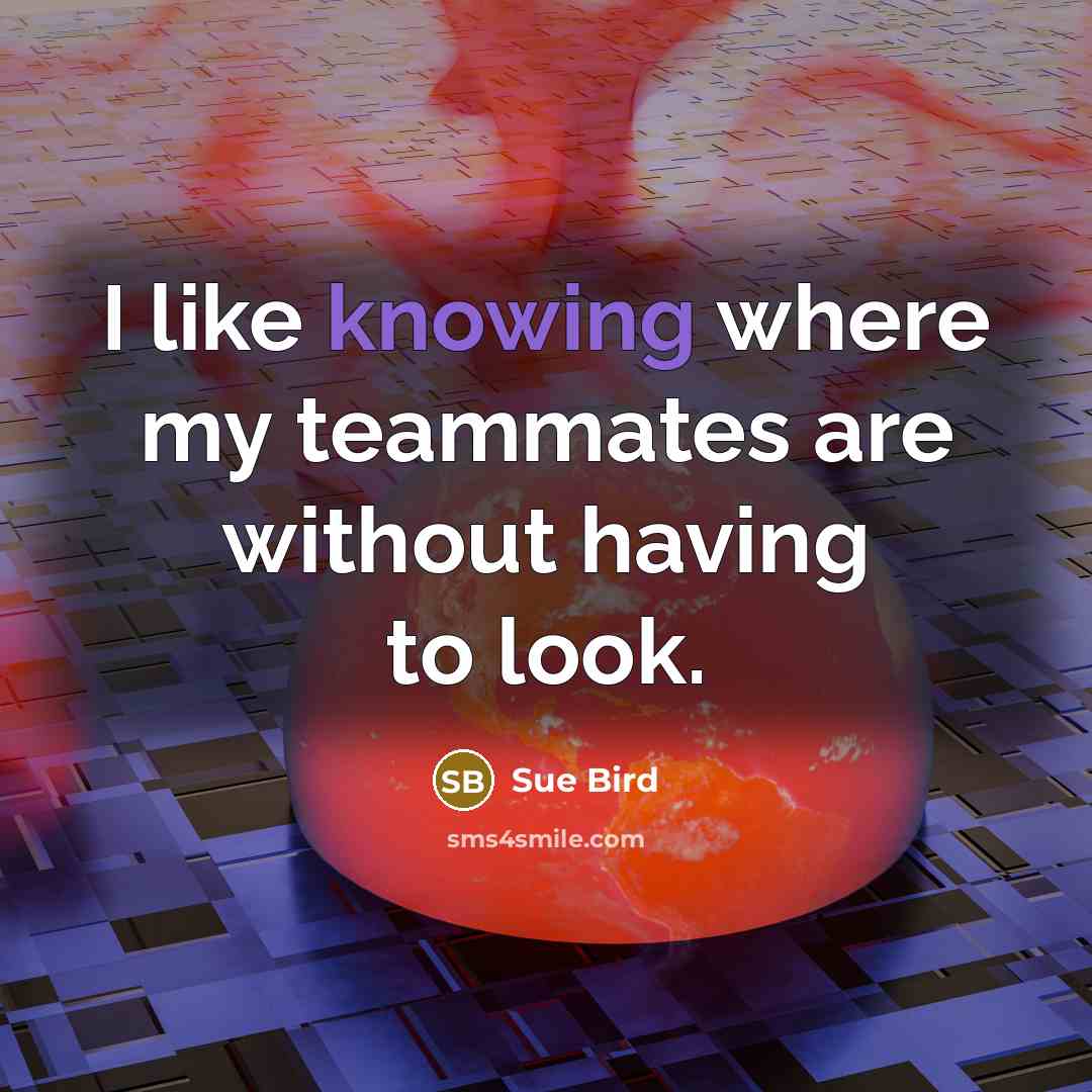“I like knowing where my teammates are without having to…” quote by Sue Bird